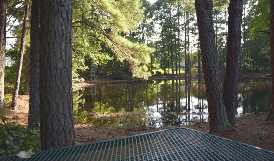 105 Checker Ct, Apex, NC 27502 - 3 Beds, 3 Bath