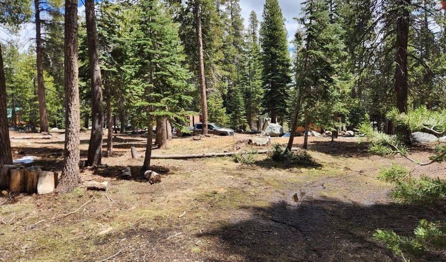 99 Monty Wolf Rd, Bear Valley, CA 95223 - 0 Beds, 0 Bath