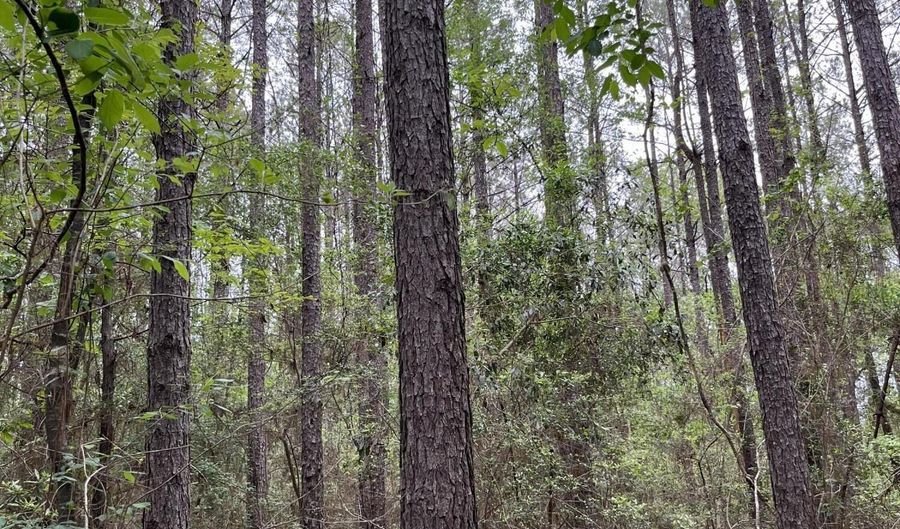U.S. 49, Brooklyn, MS 39425 - 0 Beds, 0 Bath