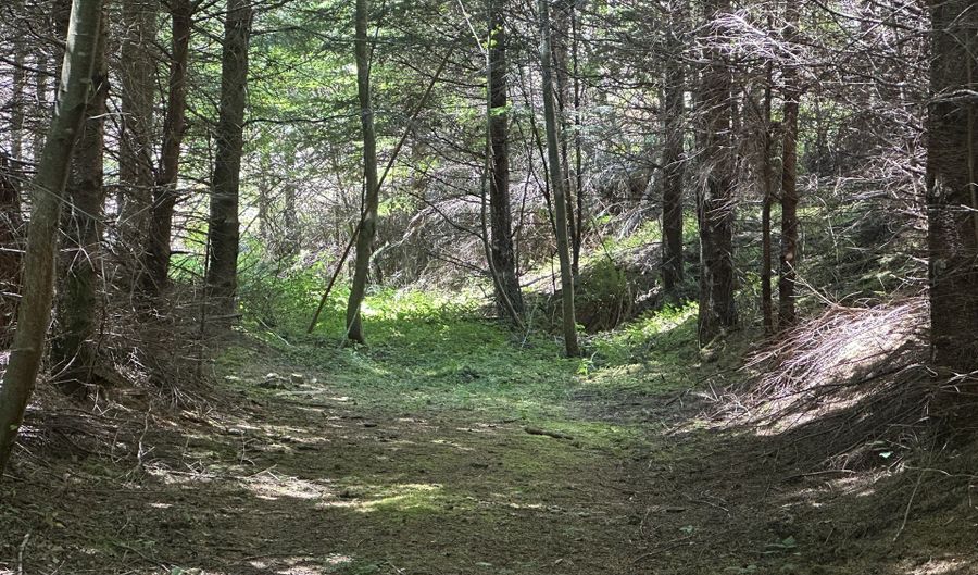 Glenn Creek Rd 300, Allegany, OR 97407 - 0 Beds, 0 Bath