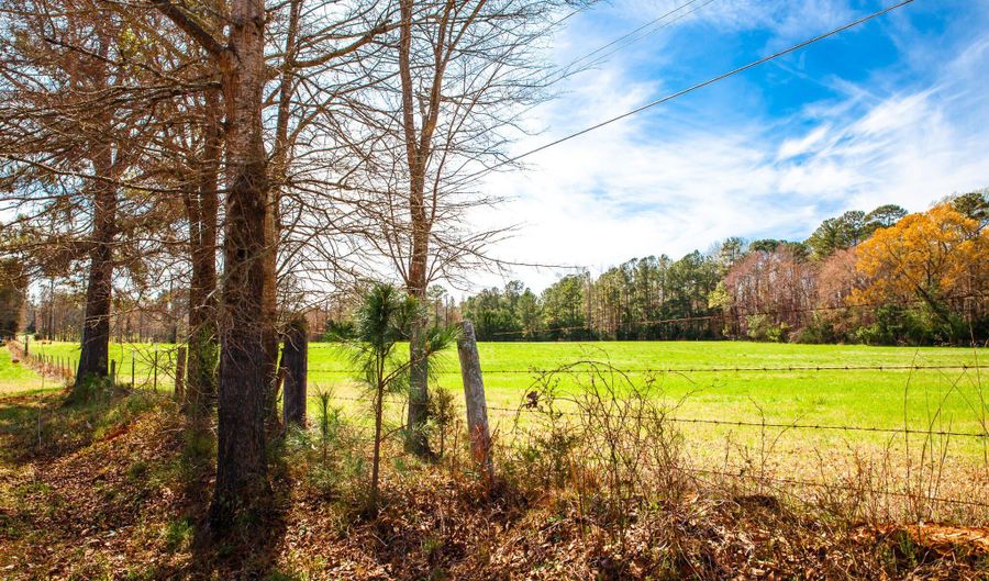 MISTLETOE RD lot 2, Appling, GA 30802 - 0 Beds, 0 Bath
