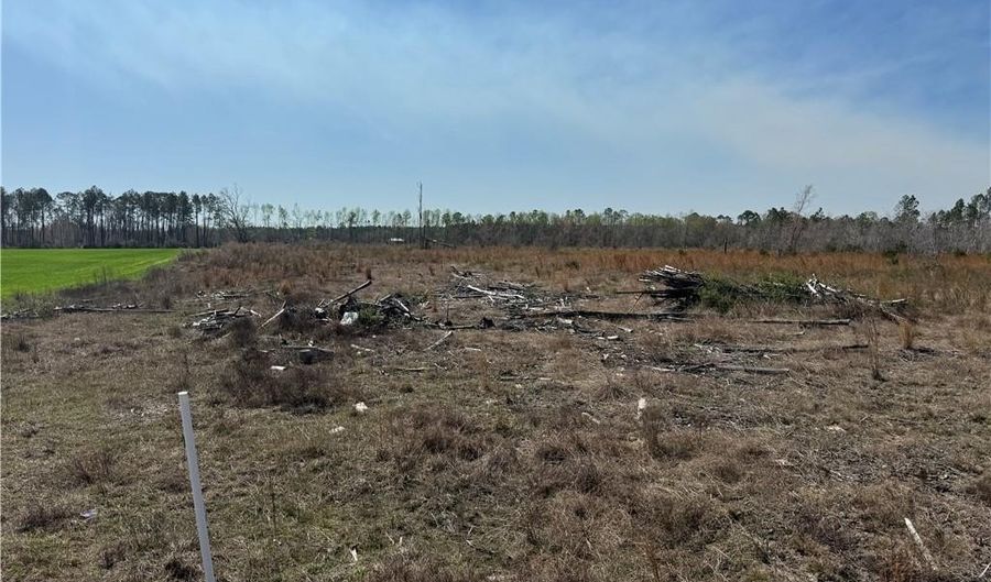 0 35.01 Acres Bacon School Rd, Alma, GA 31510 - 0 Beds, 0 Bath