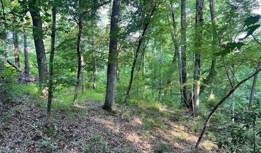 106 B Calico Ct, Alberta, AL 36720 - 0 Beds, 0 Bath