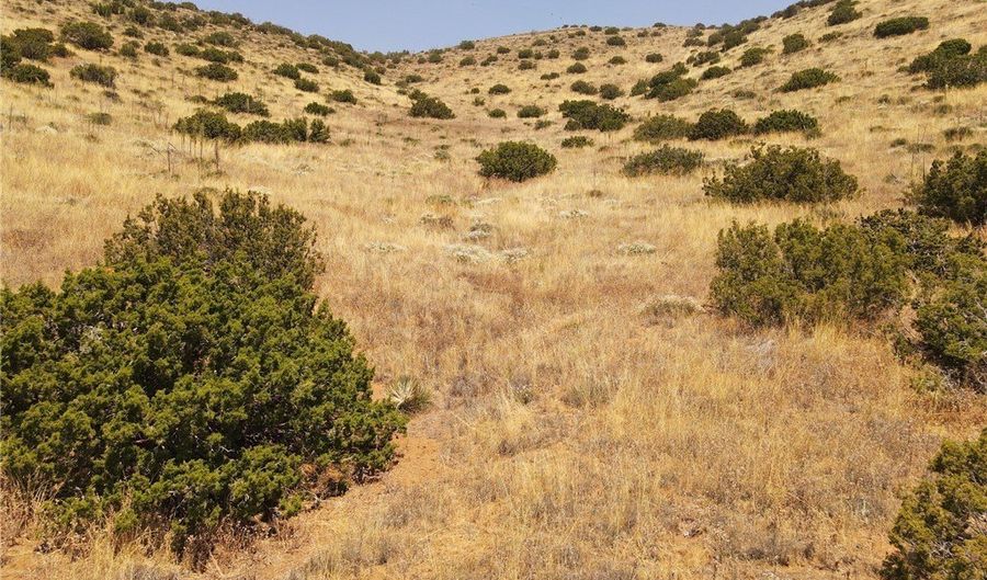Valleysage Road, Agua Dulce, CA 91350 - 0 Beds, 0 Bath