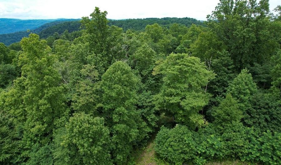 Pheasant Chase lot 3812 81 T, Ararat, VA 24053 - 0 Beds, 0 Bath