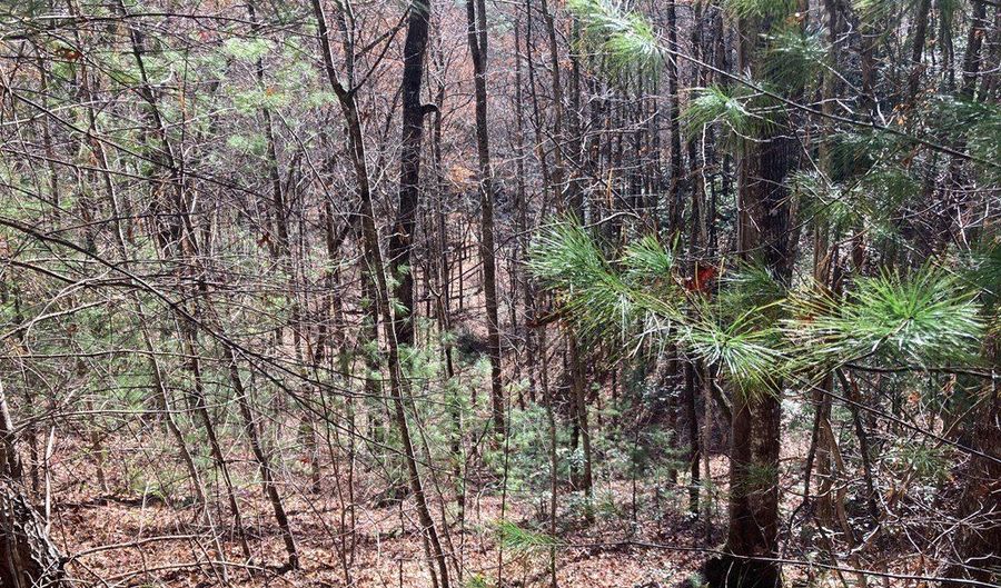 Lot # 3 Panther Creek Properties, Almond, NC 28702 - 0 Beds, 0 Bath