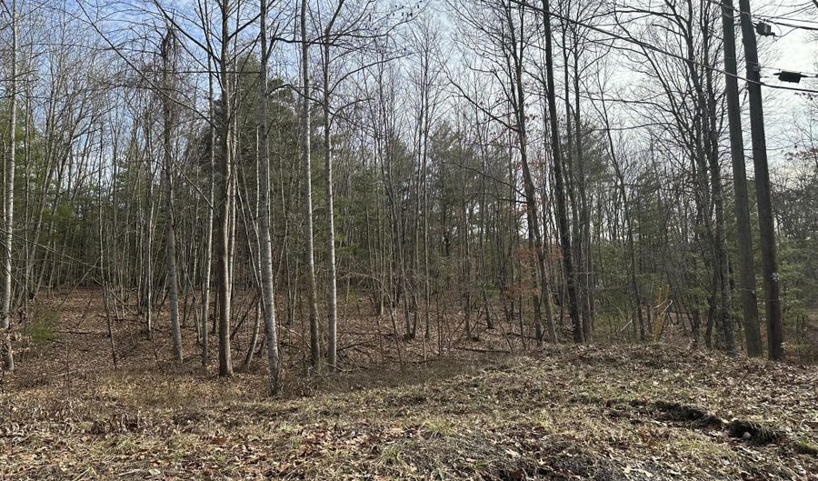 Lot 1 Rt. 1 Muddy Creek Mountain, Alderson, WV 24910 - 0 Beds, 0 Bath