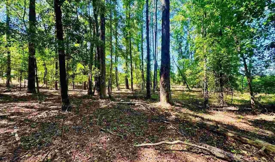 Grants Mill Rd W, Bennettsville, SC 29512 - 0 Beds, 0 Bath