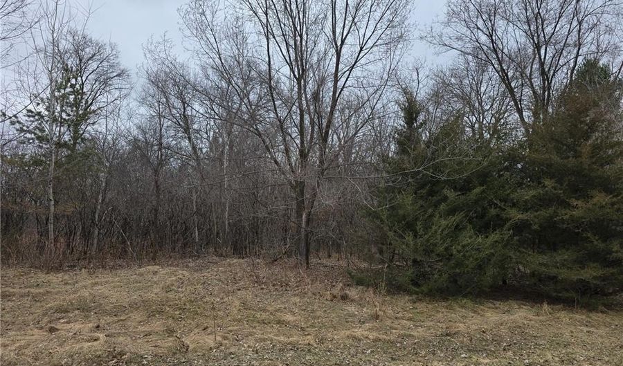 L4 B1 288th Avenue NW, Baldwin Twp., MN 55398 - 0 Beds, 0 Bath