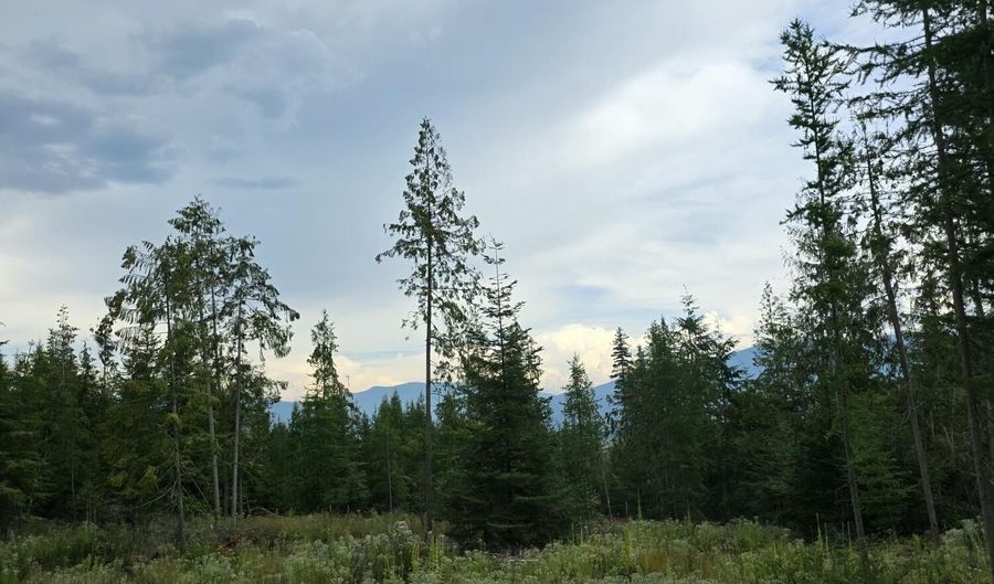 NNA WESTSIDE Rd, Bonners Ferry, ID 83805 - 0 Beds, 0 Bath