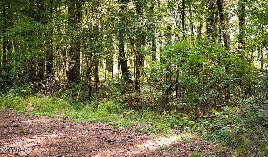 Cypress Pointe Drive lot 13, Brooksville, MS 39739 - 0 Beds, 0 Bath