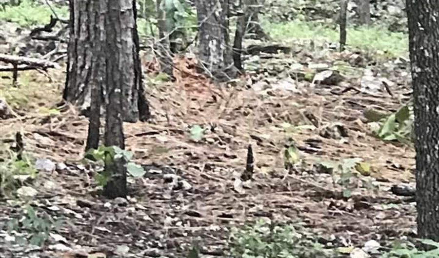BAY POINTE DRIVE lot 91, Alpine, AL 35014 - 0 Beds, 0 Bath