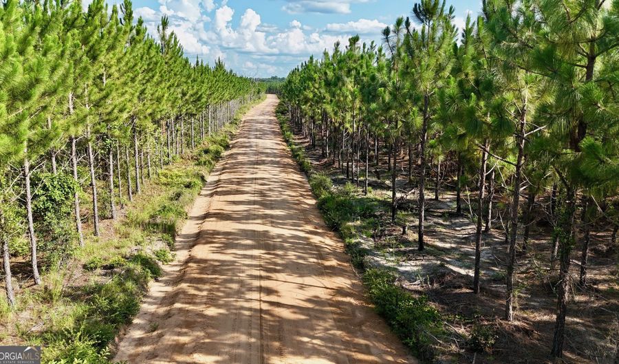 Penny Morris Road, Baxley, GA 31513 - 0 Beds, 0 Bath