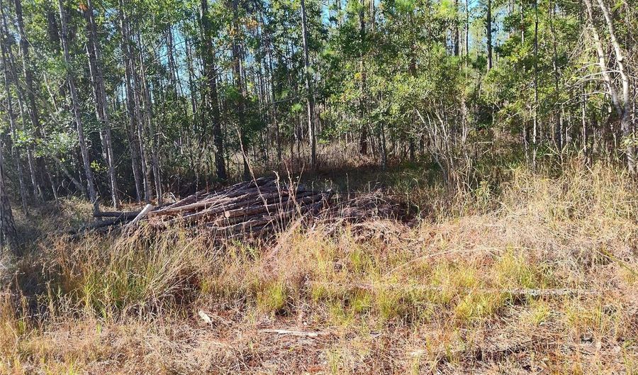 SMITH STREET, Astor, FL 32102 - 0 Beds, 0 Bath