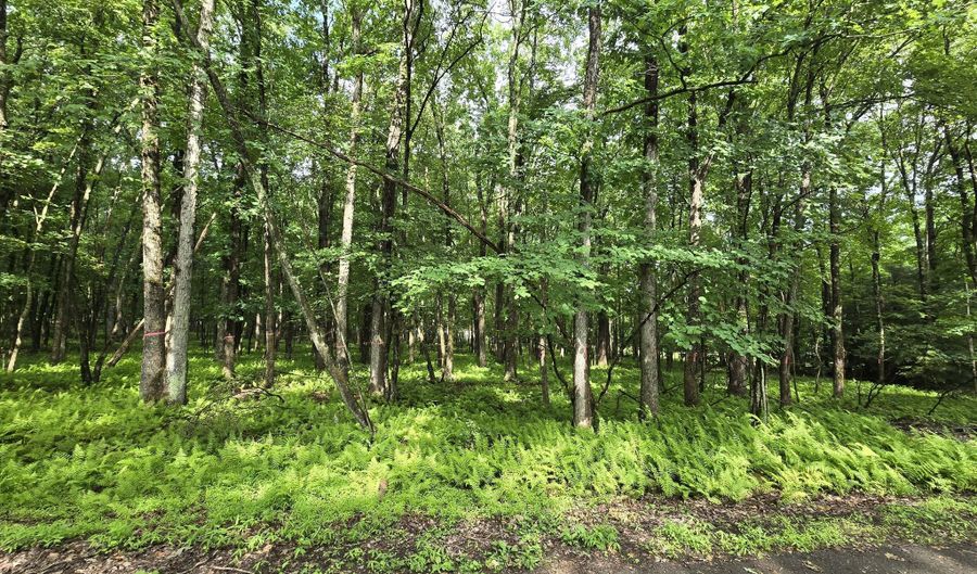 44 Poe Cir, Albrightsville, PA 18210 - 0 Beds, 0 Bath
