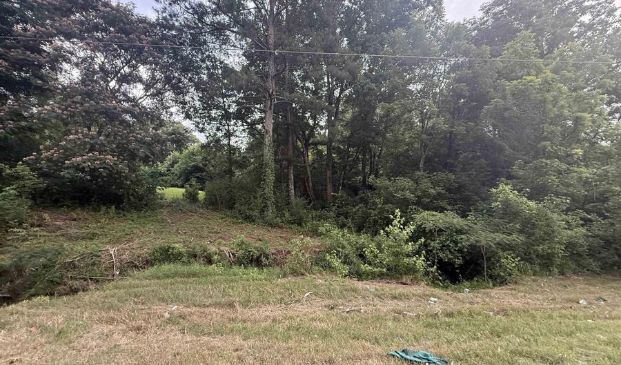 2 Acres Al Hwy 69, Arab, AL 35016 - 0 Beds, 0 Bath