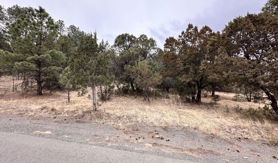 Lot 111 Antler Dr, Alto, NM 88312 - 0 Beds, 0 Bath
