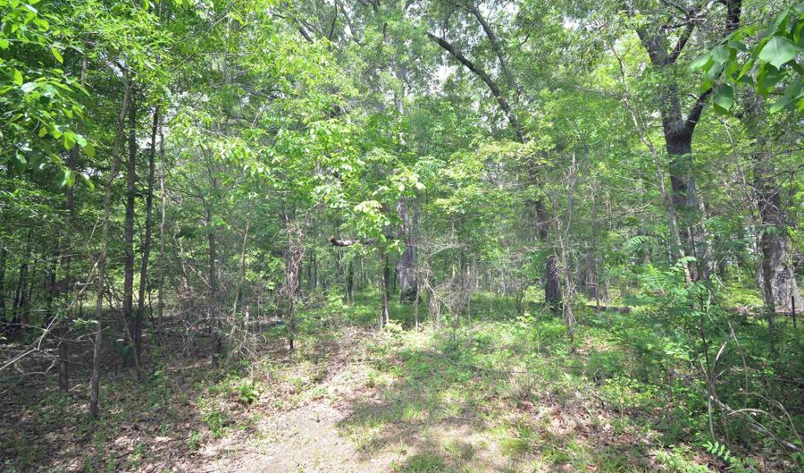 135 Worden Rd, Bald Knob, AR 72010 - 0 Beds, 0 Bath