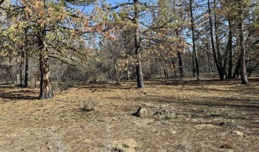 Hummingbird Drive, Bonanza, OR 97623 - 0 Beds, 0 Bath