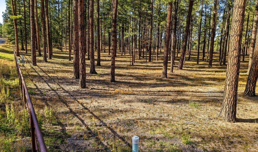 25319 US Hwy 191, Alpine, AZ 85920 - 0 Beds, 0 Bath