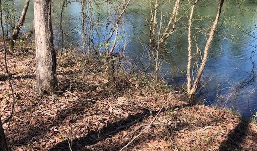 W POINT DRIVE lot 2 & 3, Arley, AL 35541 - 0 Beds, 0 Bath