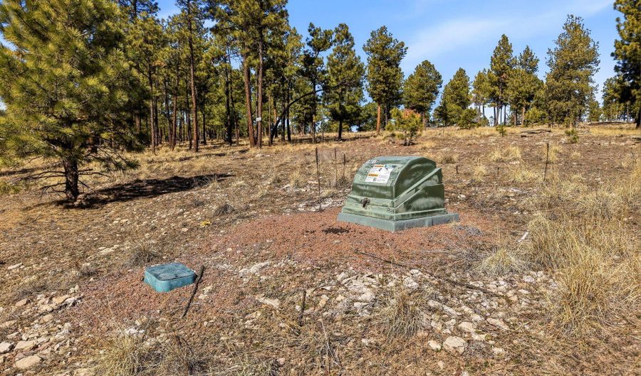 N2147, Alpine, AZ 85920 - 0 Beds, 0 Bath