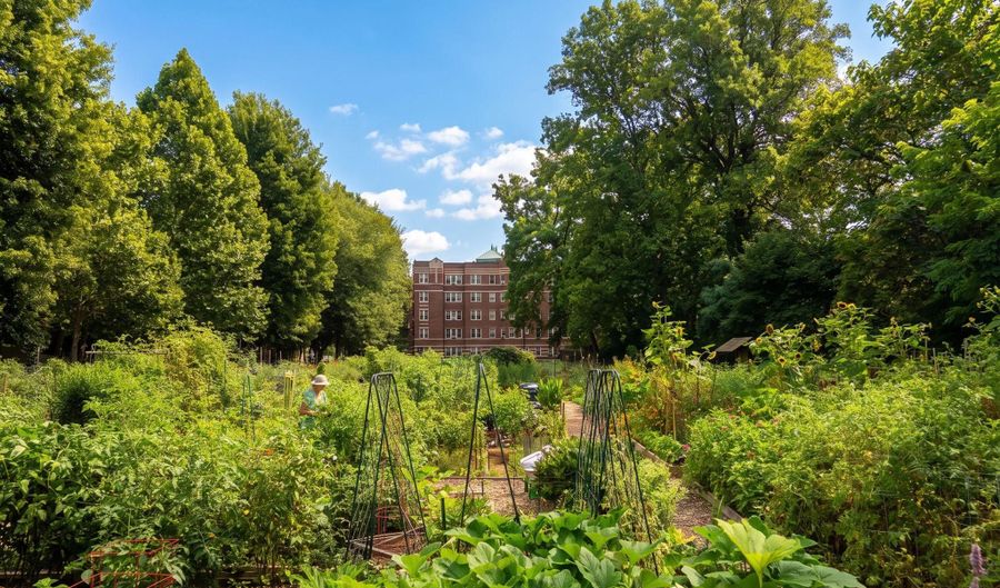 3041 SEDGWICK St NW 201-D, Washington, DC 20008 - 3 Beds, 2 Bath