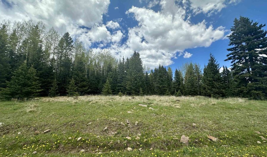 Lot 15 Pleasant Meadow Drive, Angel Fire, NM 87710 - 0 Beds, 0 Bath