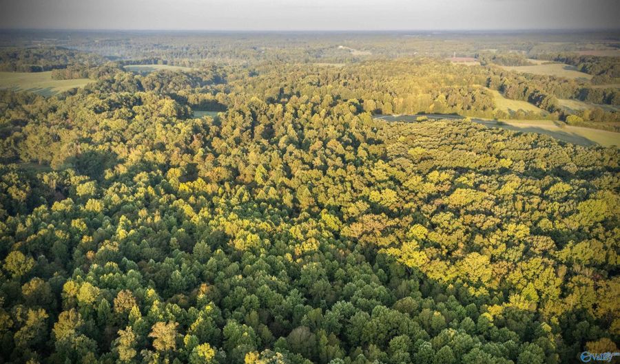 Tract 4 County Road 503, Anderson, AL 35610 - 0 Beds, 0 Bath