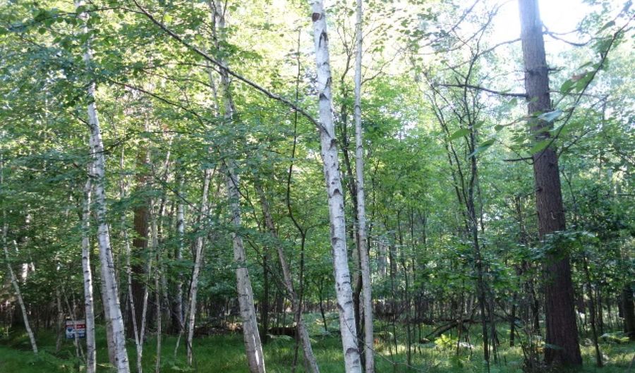 Lot 17 LUNDY LN, Woodruff, WI 54568 - 0 Beds, 0 Bath