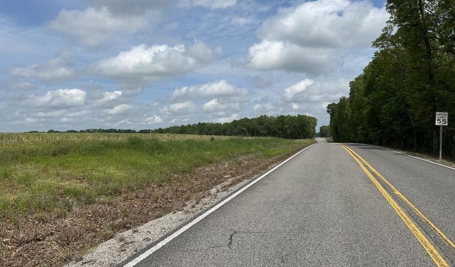 54 Acres Hwy 207, Anderson, AL 35610 - 0 Beds, 0 Bath