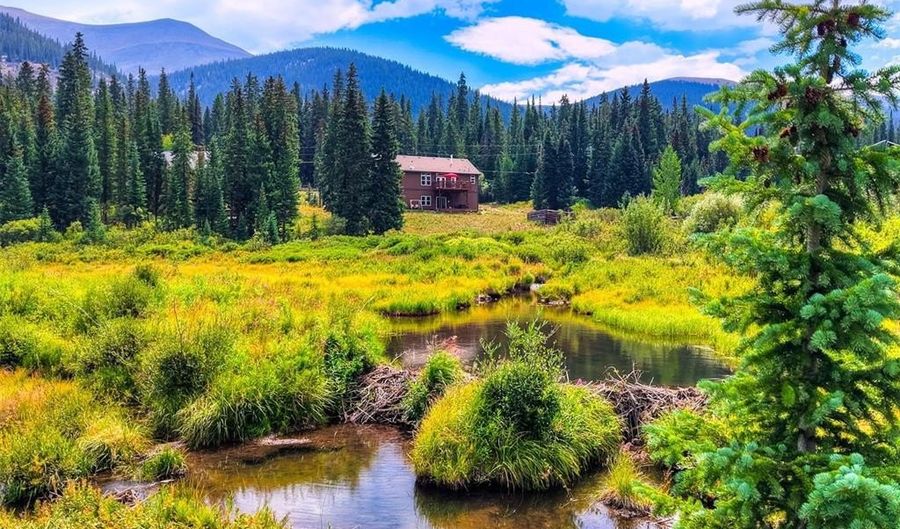 513 RENA Rd, Breckenridge, CO 80424 - 4 Beds, 3 Bath