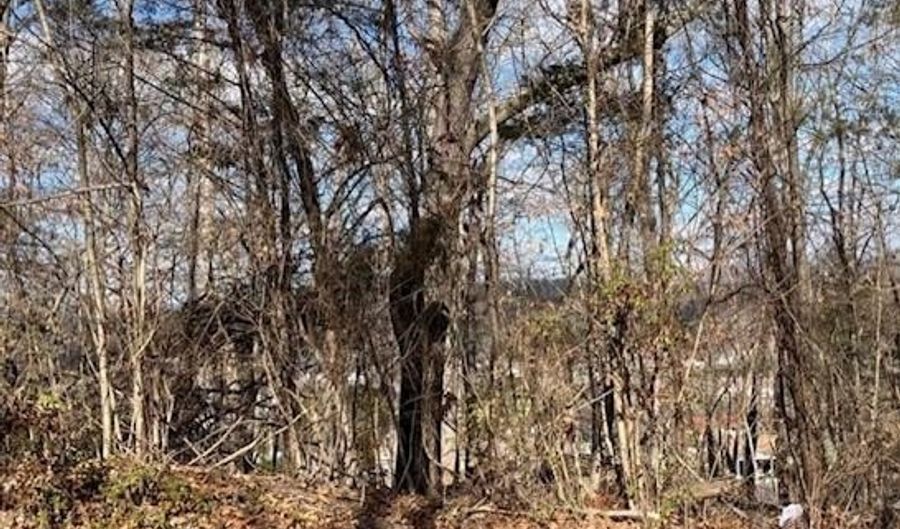 Crosby Lot 10 Drive, Bean Station, TN 37708 - 0 Beds, 0 Bath