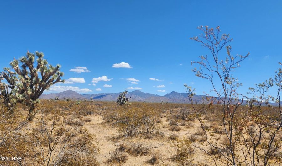 287 S Diamondback Rd, Yucca, AZ 86438 - 0 Beds, 0 Bath