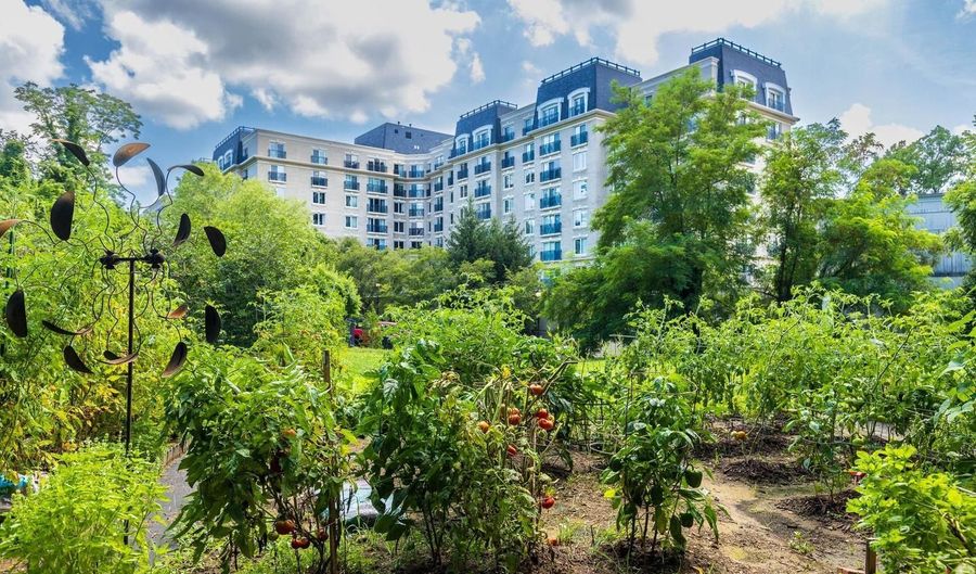 5 PARK Pl #302, Annapolis, MD 21401 - 2 Beds, 2 Bath