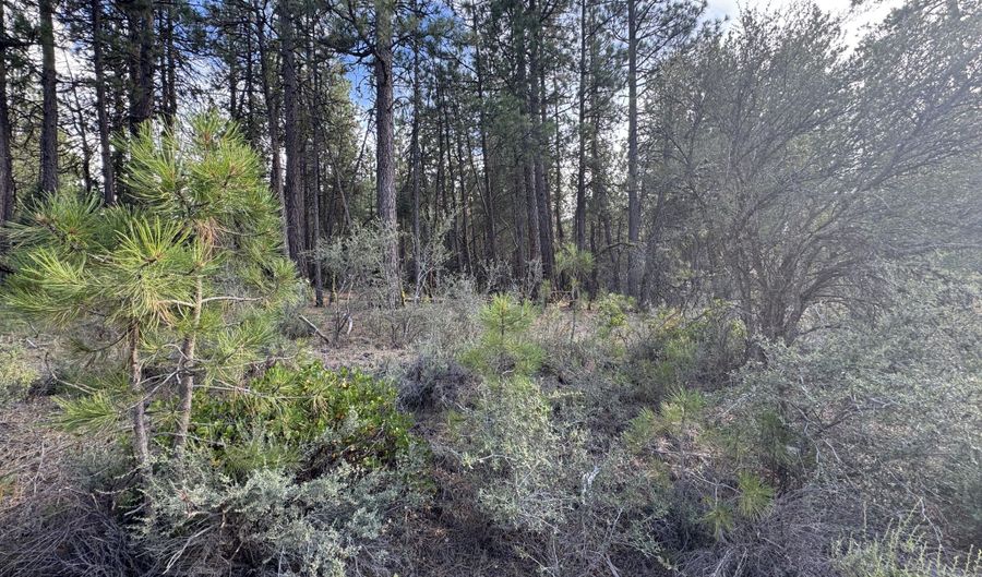 0 Partin Dr 6, Beatty, OR 97621 - 0 Beds, 0 Bath