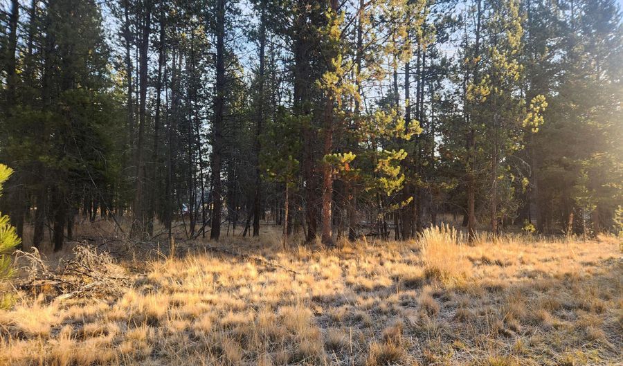 16818 Brenda Dr, Bend, OR 97707 - 0 Beds, 0 Bath