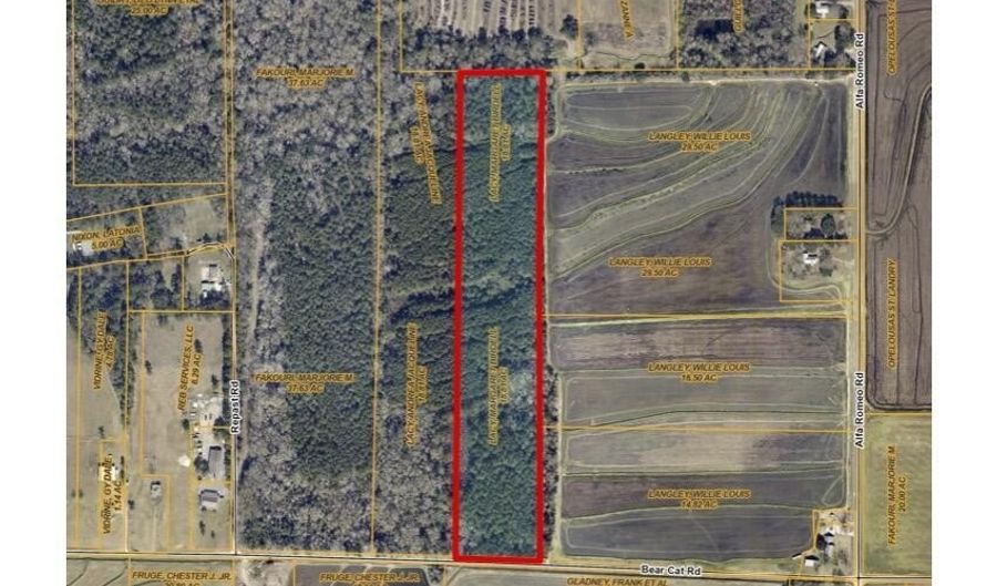 Tbd Bearcat Road, Basile, LA 70515 - 0 Beds, 0 Bath