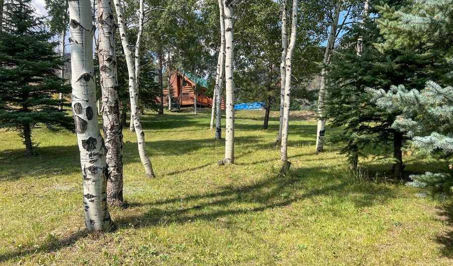 27667 Buckhorn Rd, Bellvue, CO 80512 - 2 Beds, 2 Bath
