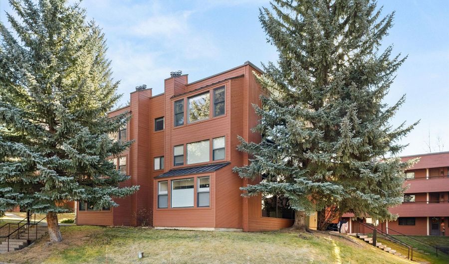 1041 Vine St, Aspen, CO 81611 - 1 Beds, 1 Bath