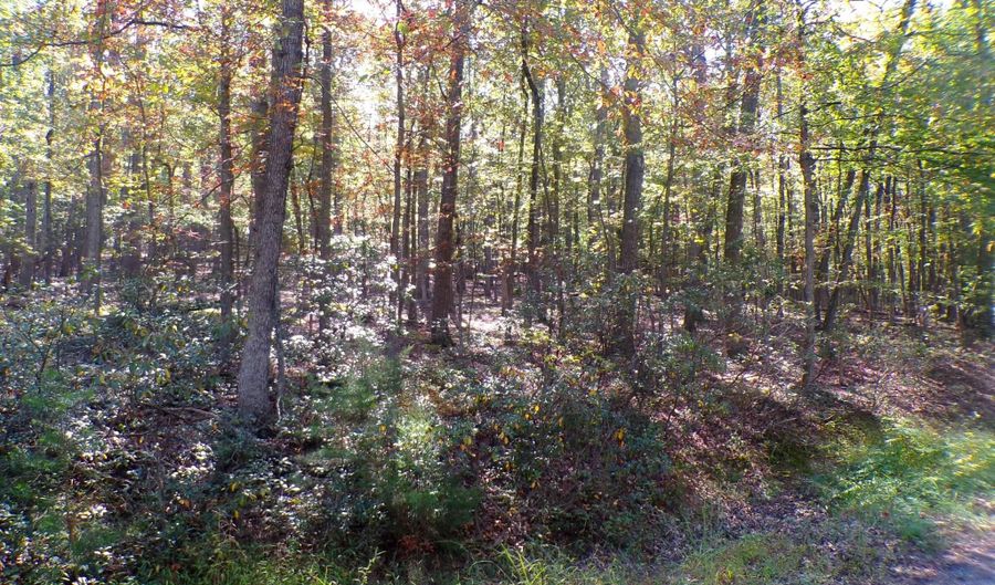 BIG HORN TRAIL E-15, Augusta, WV 26704 - 0 Beds, 0 Bath