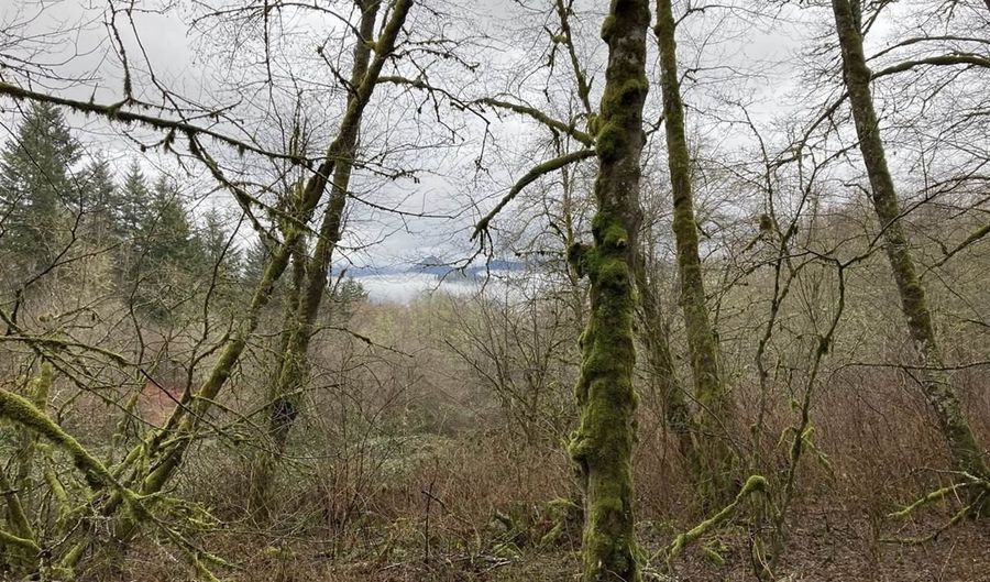 NE 197th Ct, Amboy, WA 98601 - 0 Beds, 0 Bath