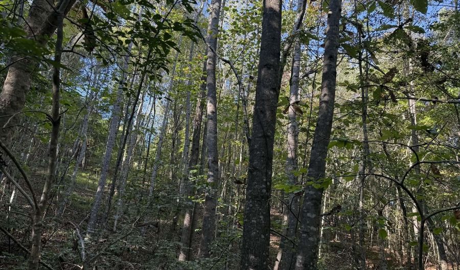 1028 Goddard Rd, Bear Creek, AL 35543 - 0 Beds, 0 Bath