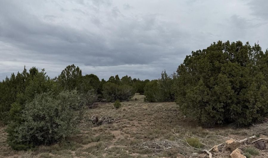 55 Ponderosa Dr, Concho, AZ 85924 - 0 Beds, 0 Bath