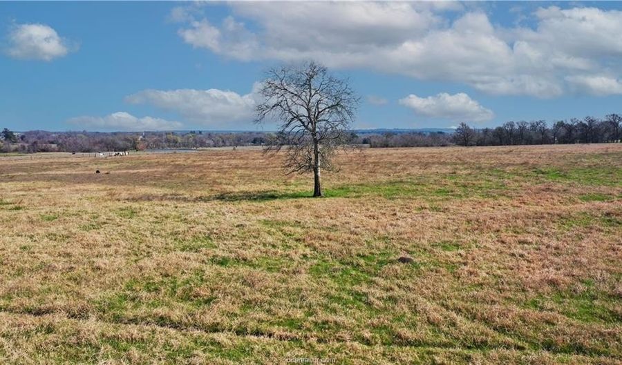 Tbd Tract 5 Fm-2819, Anderson, TX 77830 - 0 Beds, 0 Bath