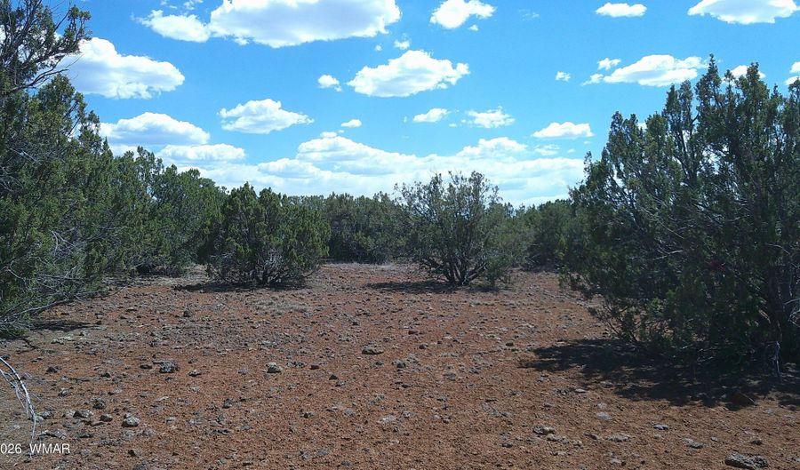 5 County Road 8077, Concho, AZ 85924 - 0 Beds, 0 Bath