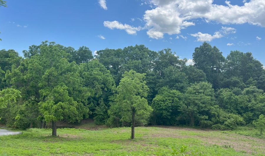 Lot 64 Whispering Court, Bean Station, TN 37708 - 0 Beds, 0 Bath