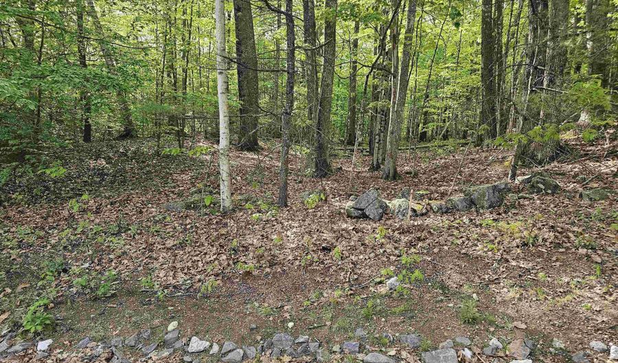 Province Road lot 26, Belmont, NH 03220 - 0 Beds, 0 Bath
