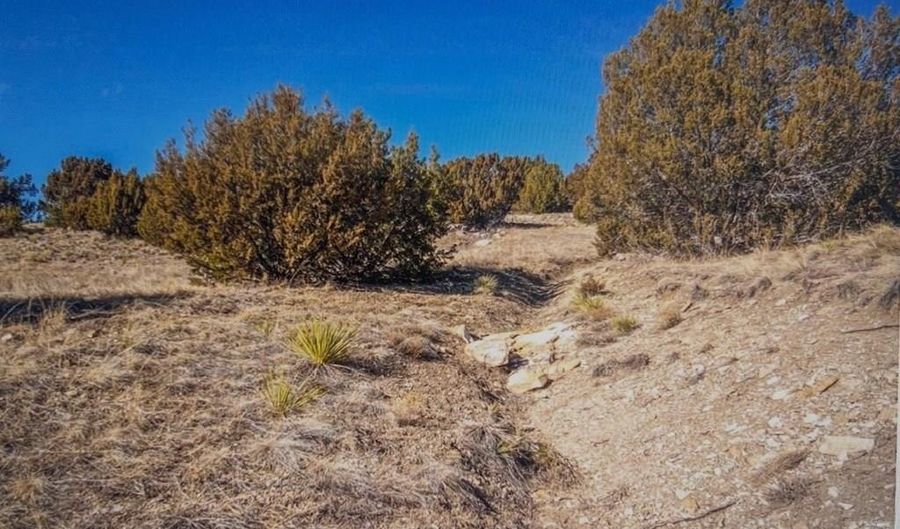 Cedar Grove Rd. lot 73, Beulah, CO 81023 - 0 Beds, 0 Bath