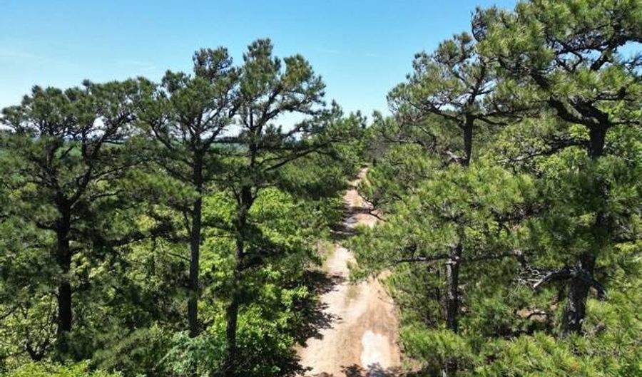 TRACT41 TRAIL RIDGE ROAD, Albion, OK 74571 - 0 Beds, 0 Bath